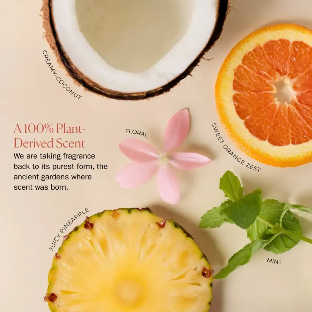 Plant-derived scent with creamy coconut, sweet orange zest, juicy pineapple, floral notes & mint for curly hair care