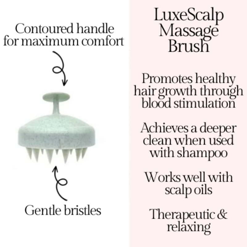 Scalp Massage Brush