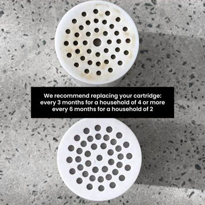 Filtered Beauty Shower Purifier