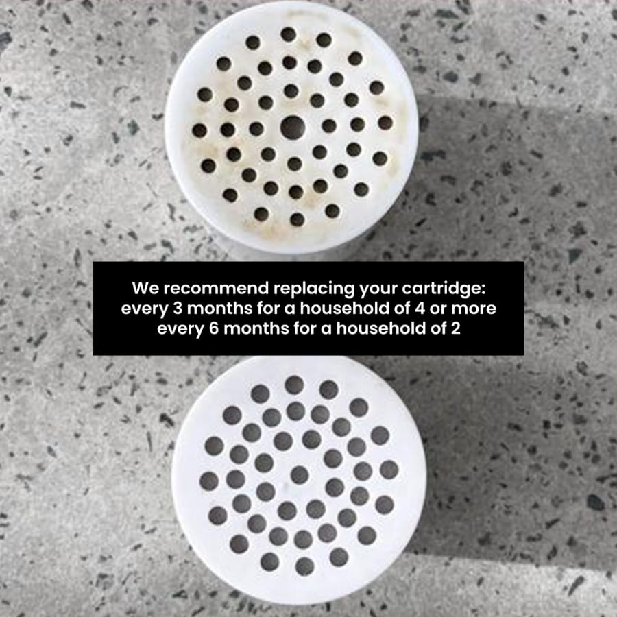 Filtered Beauty Shower Purifier