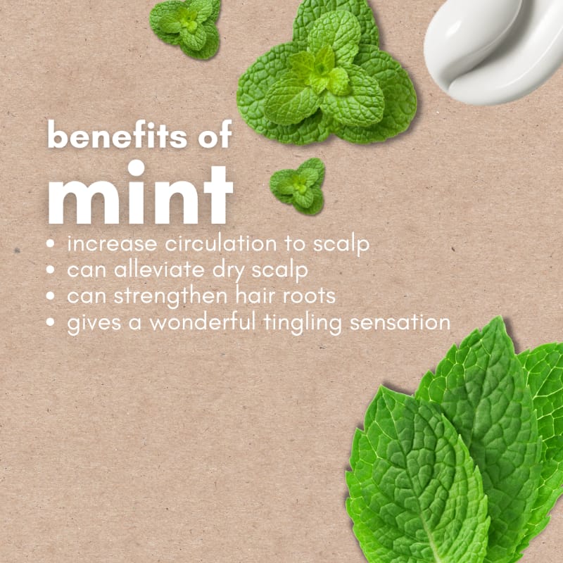 Inahsi Naturals Soothing Mint Gentle Shampoo
