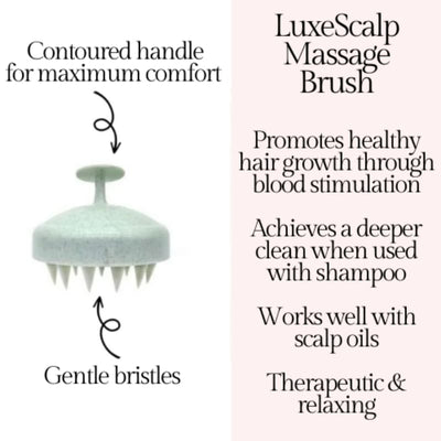 Scalp Massage Brush
