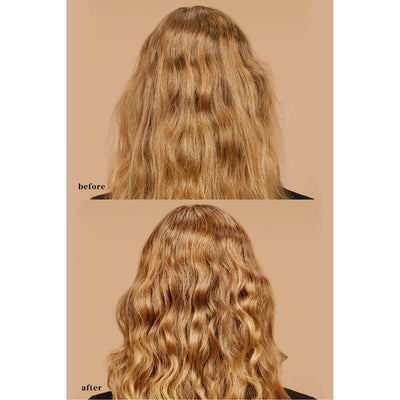 Ouidad Advanced Climate Control Detangling Spray