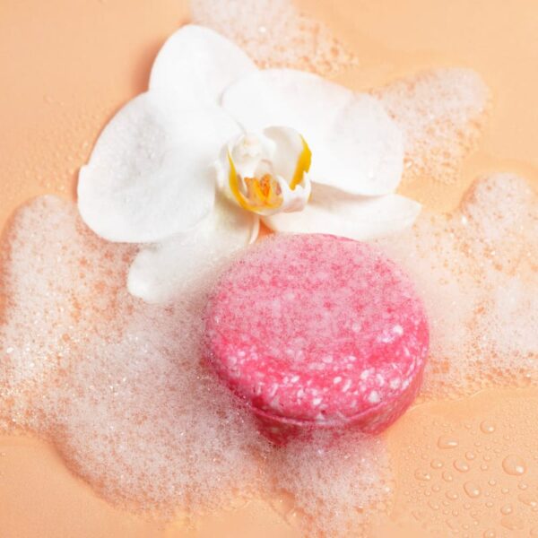 Curly Secret Shampoo Bar